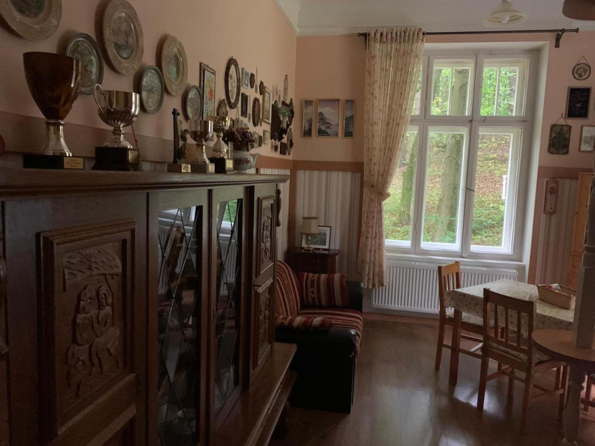 Dream Appartment For A Nice Holiday With A Bedroom And Living Room! Марианске-Лазне Экстерьер фото