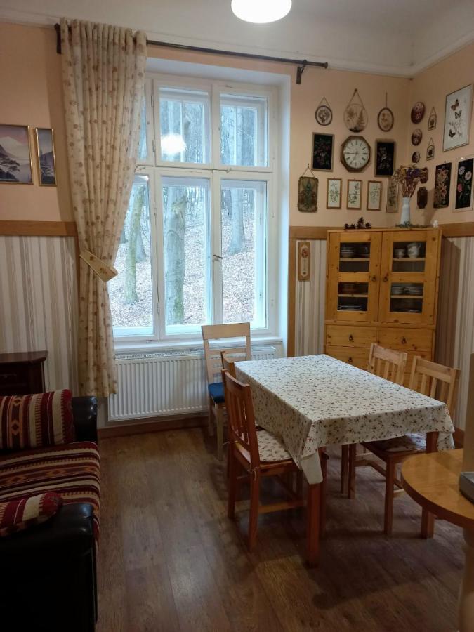Dream Appartment For A Nice Holiday With A Bedroom And Living Room! Марианске-Лазне Экстерьер фото